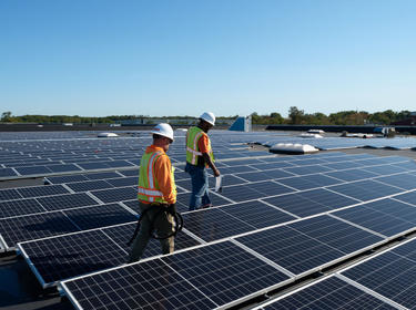 Zonnepanelen